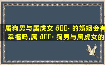 属狗男与属虎女 🌷 的婚姻会有幸福吗,属 🌷 狗男与属虎女的婚姻会有幸福吗为什么